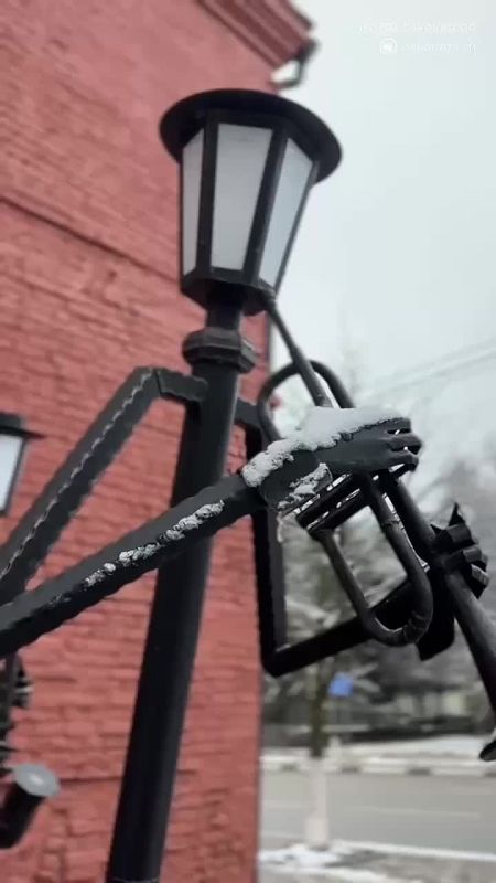 ������ ����, ������� �����!