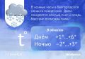 Белгородскую область ждут обильные осадки
