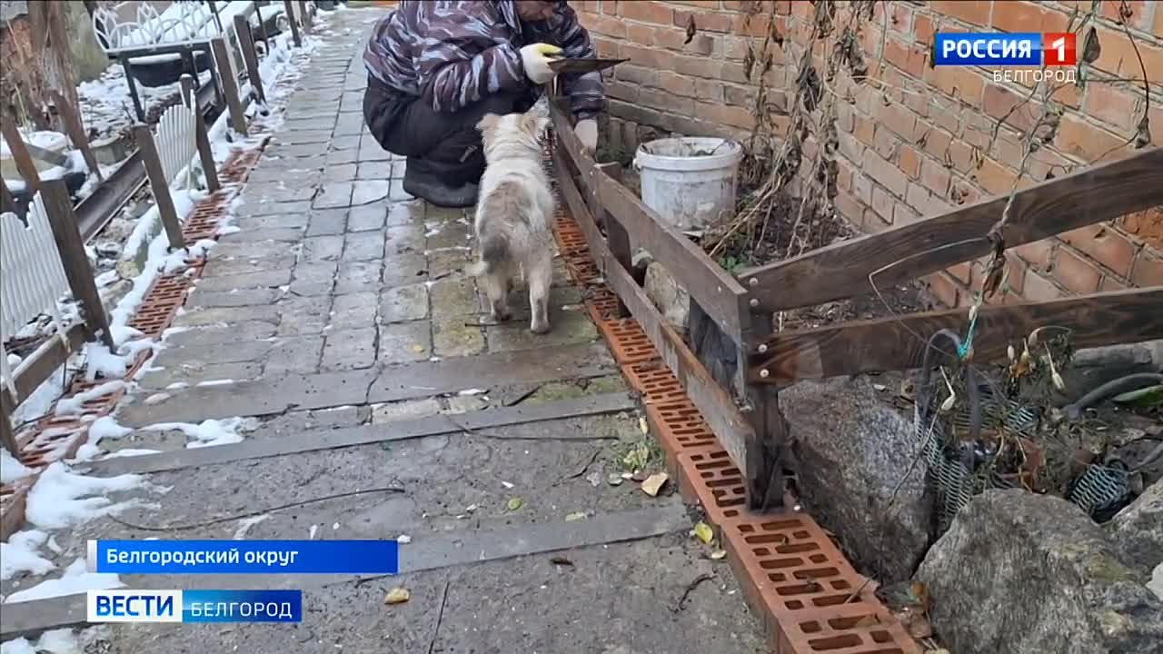 «Помню запах пороха – и темнота»