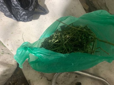 Житель Новооскольского округа подозревается в незаконном хранении наркотиков