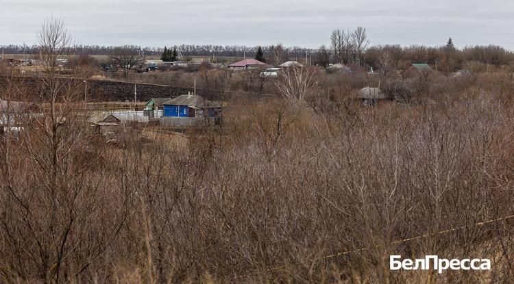 Вячеслав Гладков сообщил о 205 земельных участках, выданных ветеранам СВО