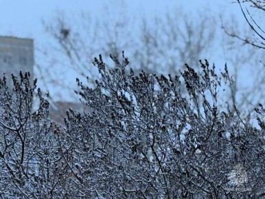 Внимание! В субботу ожидаются порывы ветра до 20 м/с