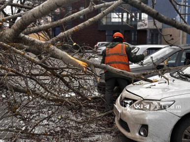 Наши коммунальные службы отработали 50% заявок, которые поступили от горожан о последствиях сильного ветра этой ночью в Белгороде