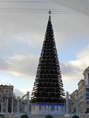 На Соборной площади Белгорода новогодняя ель уже почти готова