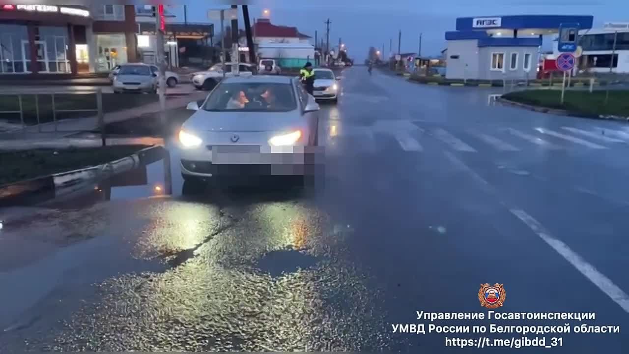 #СВОДКА_ДТП. По предварительным данным, вчера в 07 часов 10 минут на ул. Октябрьская п. Северный Белгородского округа 52-летний водитель, управляя автомобилем «Рено Флюенс», совершил наезд на 61-летнюю женщину, переходившую...