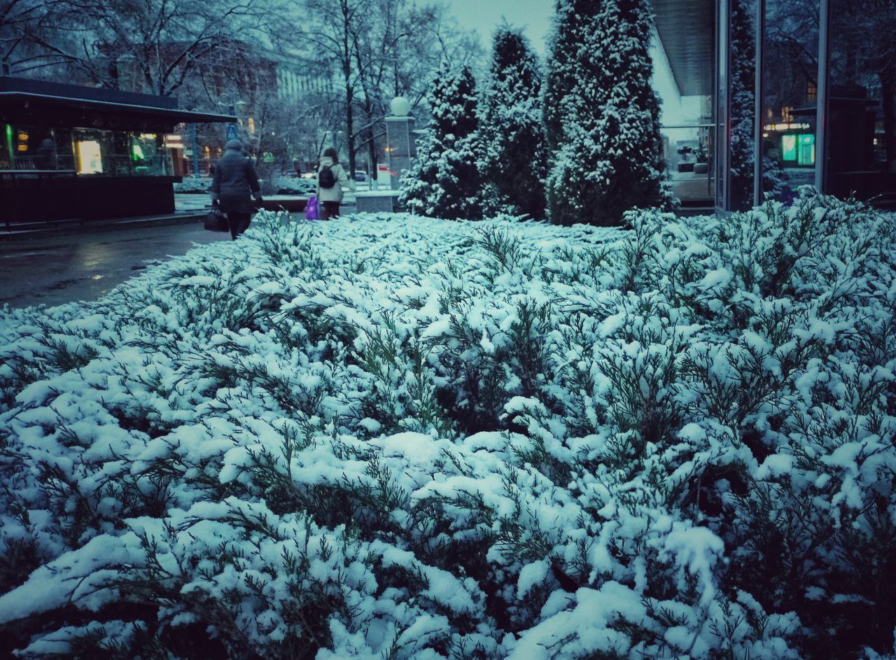 Сегодня, 13 декабря, будет морозно, скользко и облачно с прояснениями