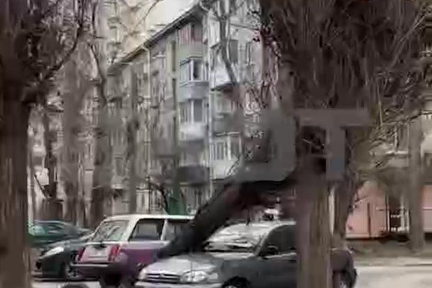 Shot: � ����������� � ����� ����� ������ ������ ������� �����