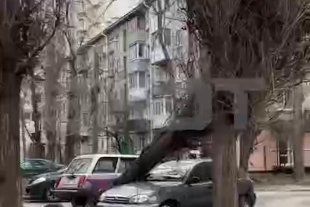 Shot: В центральной и южной части России бушует сильный шторм