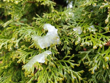 Эти снимки напоминают нам, насколько прекрасна наша природа в любое время года