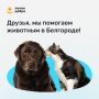 Друзья, в Белгороде появилось сообщество для помощи животным «Лучик добра»!