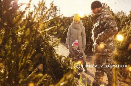 Праздничные ярмарки в Белгороде проведут 20, 27 декабря, а также 3 и 10 января