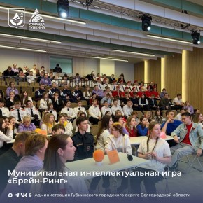 Помним и гордимся!. В этом году, когда мы отмечаем 80-летие Великой Победы и чтим Героев Отечества, наш округ с гордостью принял участие в муниципальной интеллектуальной игре «Брейн-Ринг»
