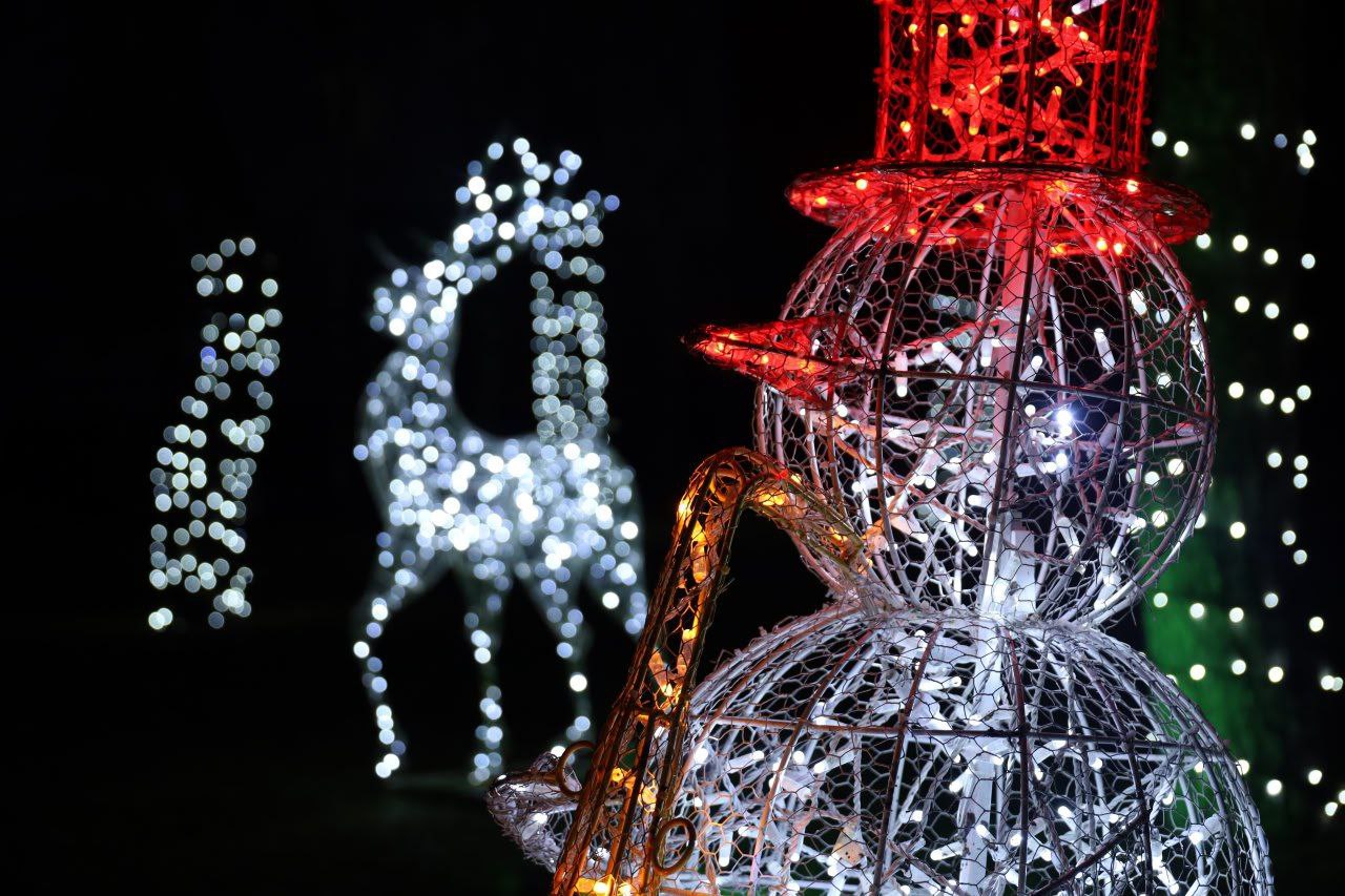 Андрей Гриднев: Уважаемые шебекинцы, делюсь новостями прошедшей недели, которые публиковались на официальных страницах администрации и учреждений Шебекинского муниципального округа: