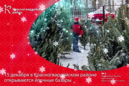 15 декабря в Красногвардейском районе стартовали ёлочные базары