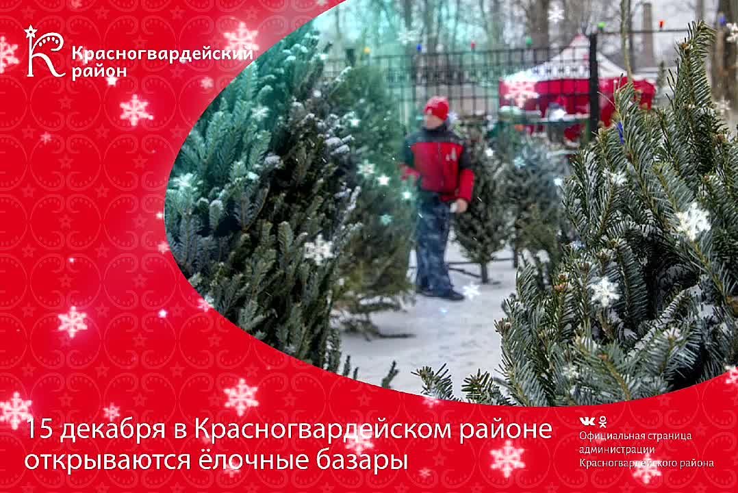 15 декабря в Красногвардейском районе стартовали ёлочные базары