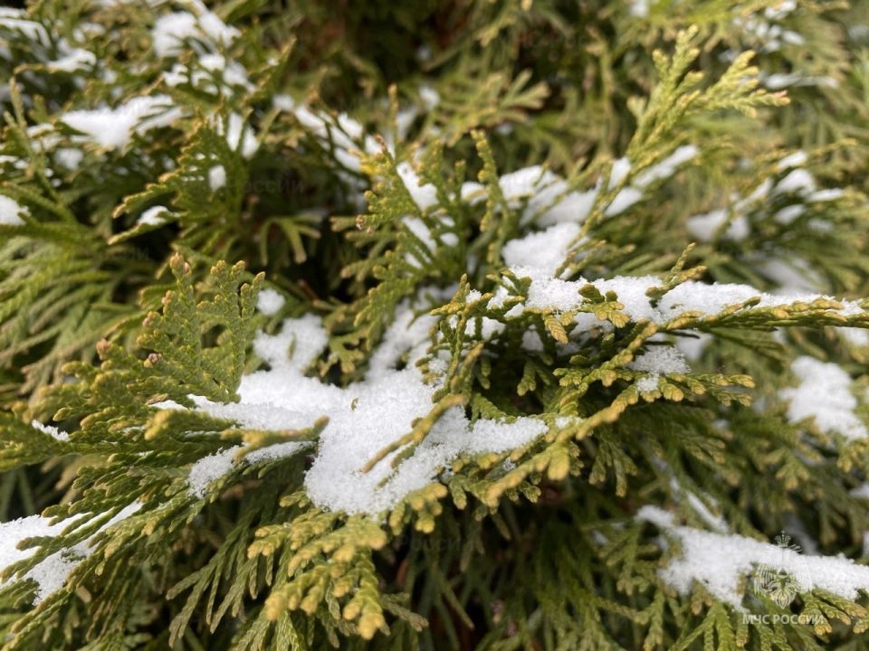 �� ������� � ������� ��������� ������ � ���� ����� � ������� �����