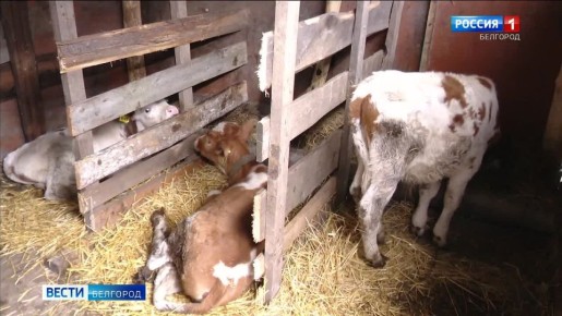 � ������, � ����, � ��������