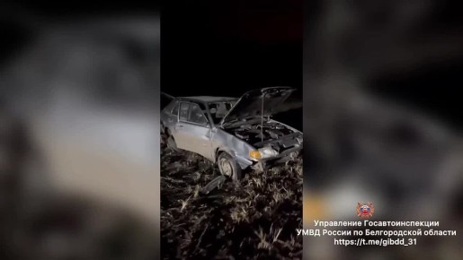 После столкновения с кабаном легковушка улетела в кювет: водитель и его пассажирка получили телесные повреждения