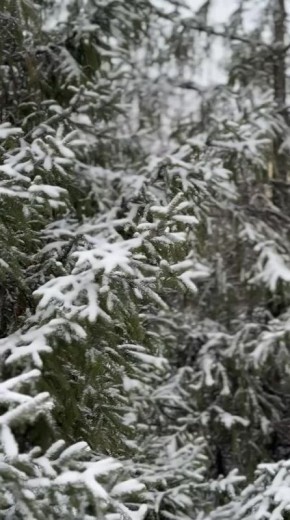Доброе утро, любимый город!