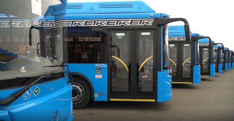 Татьяна Круглякова: Планируйте поездки по Белгородской агломерации с удобством благодаря интерактивной карте