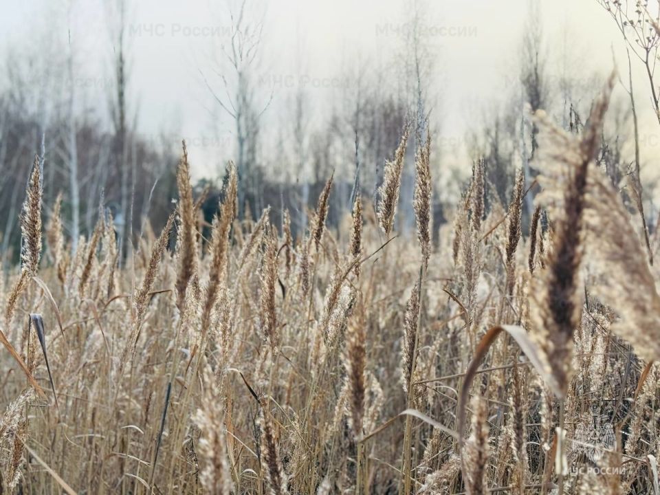 � ����� � ������� ��������� �����, ������� ����������