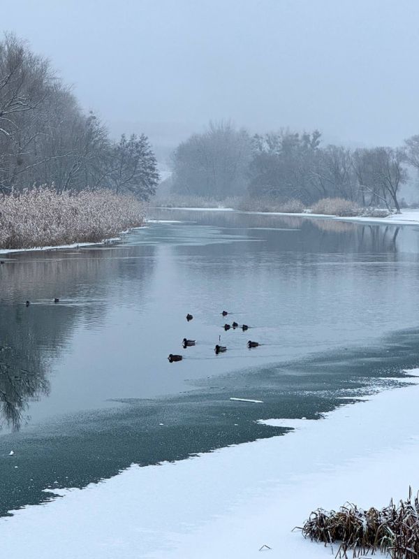 ������� ���� � ��������. ������� ������ ������� ���� ��������, � ������������ ����������� ��������� +2�