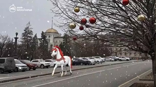 �� ������ ���� �������� 15 ����