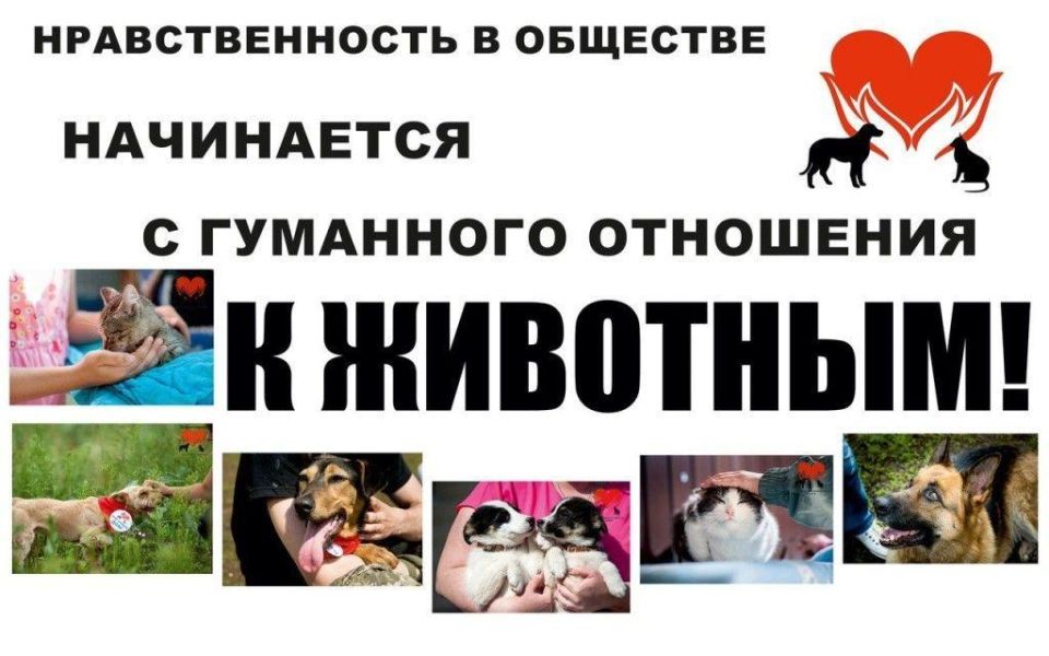 ������������� ��������� � ���������: �����, ���������� � ��������������