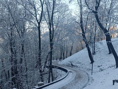 Сегодня, 17 декабря, в Белгороде будет пасмурно