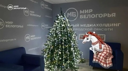 �� ������ ���� �������� 14 ����