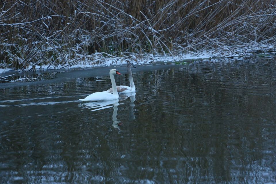 Утренние зимние пейзажи одного из микрорайонов нашего города