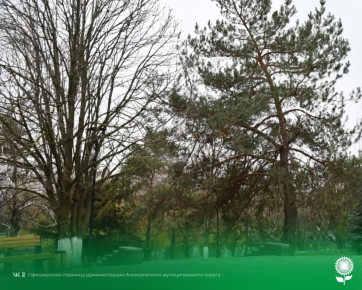 17 декабря. Температура воздуха 2°C, облачно, без осадков