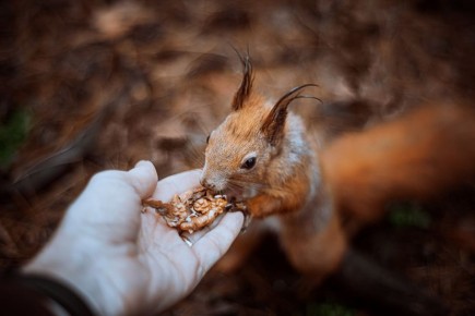 Погода 18 декабря. Сегодня синоптики обещают пасмурную погоду