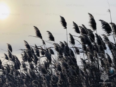 � ������� � ������� ��������� �����