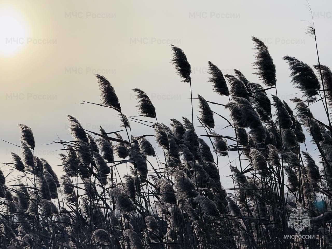 В пятницу в регионе ожидается туман