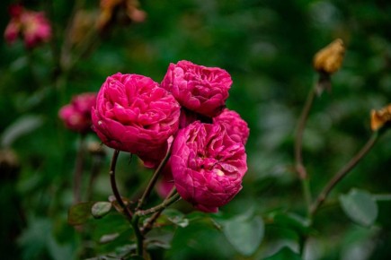 � ��������� ������ ������ ����� ������� ��������� ������� � �������� ����