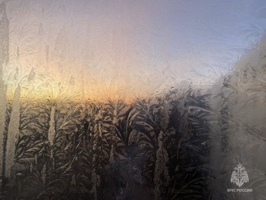 �������� � ������������ ������ �������������� � ��������