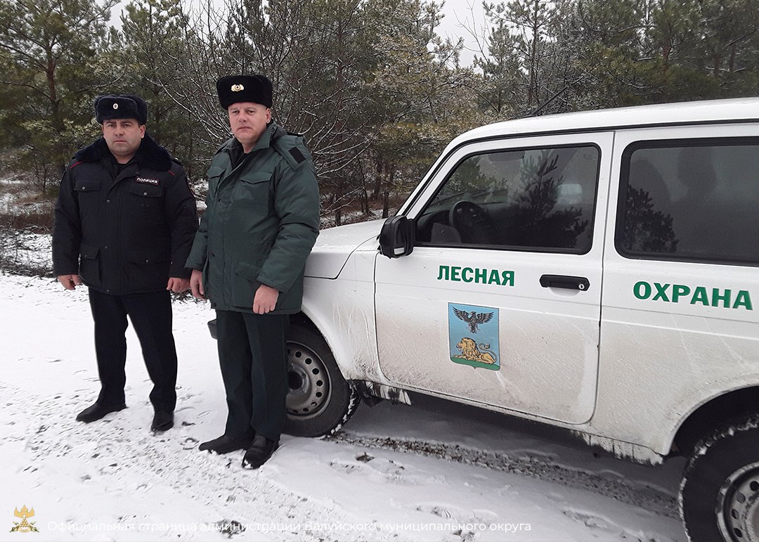 Экологическая акция «Ёлочка, живи!»