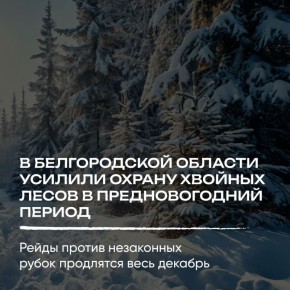 ����������� ������� �������� �� ������ ������ ������� � ������ ����������� �� ����������, �� � �������� ��������� ���������������