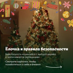 Раз, два, три, ёлочка, не сгори: напоминаем правила безопасности