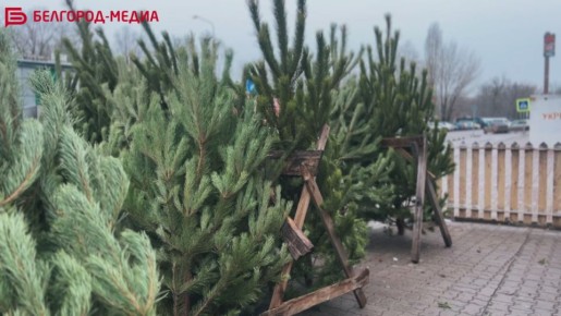 � ��������� ��������� ������� ������