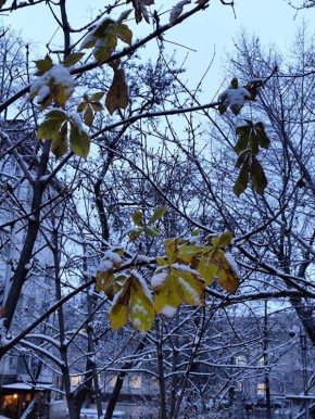 Сегодня, 19 декабря, в Белгороде будет облачно