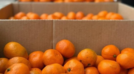 �������� ������� ������� ���������� ������� ����������