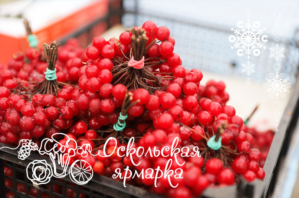 Фермерская ярмарка в Старом Осколе!