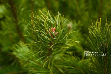 ������ ����, ��������!. ������� �� ����� -1, �������� � �������