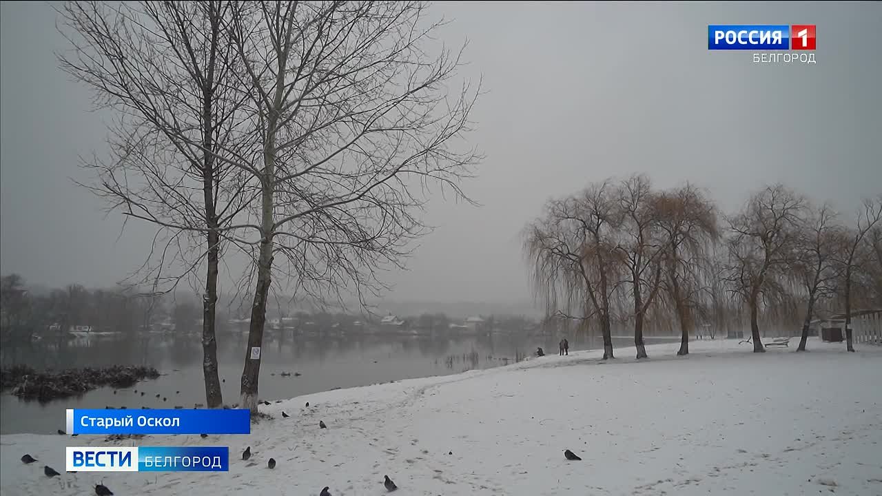 Пляж «Юность» станет местом притяжения старооскольцев