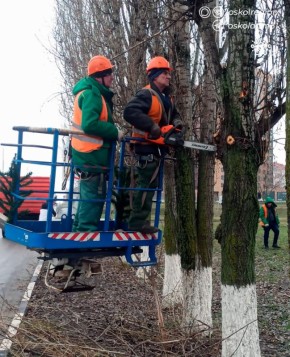 �� ������ ������������: ���������� ���������� �������� �������