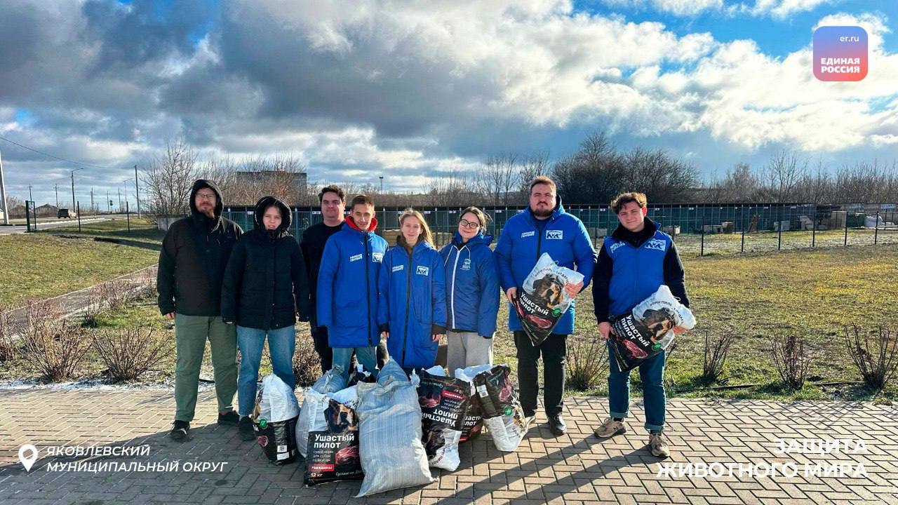 Активисты «Молодой Гвардии Единой России» помогают бездомным животным