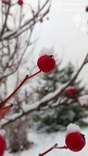 ������ ����, �������������!