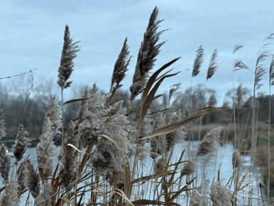 � ����� � ������� ������������ ������� �� ���������